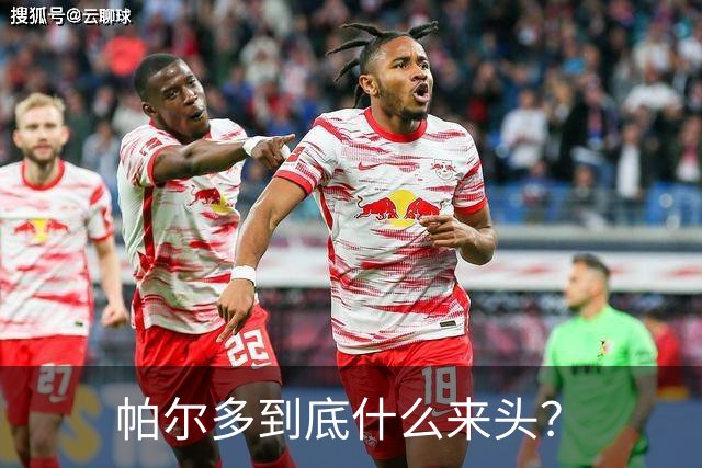帕尔多到底什么来头？